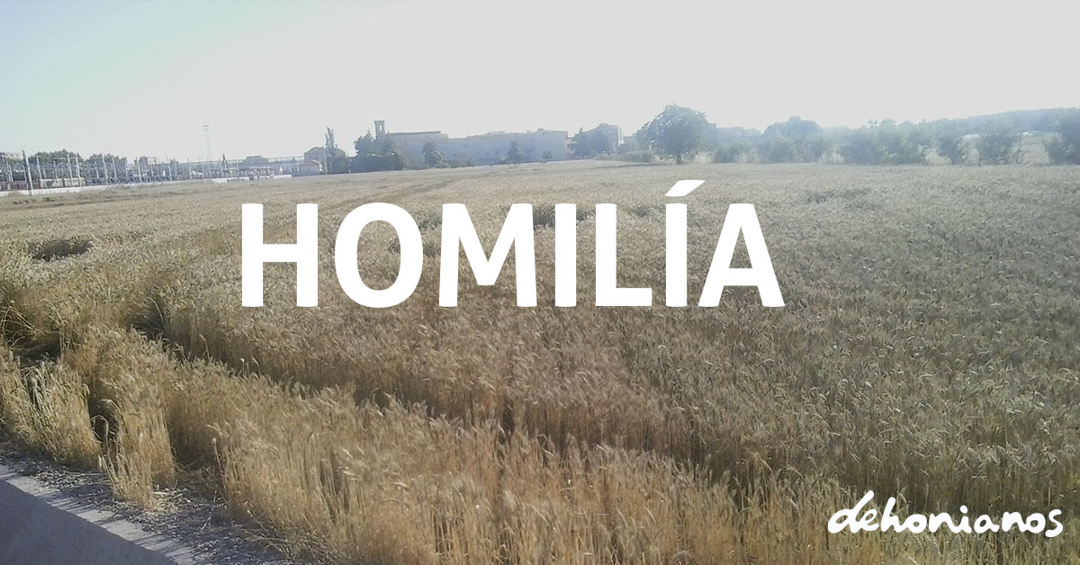 homilía