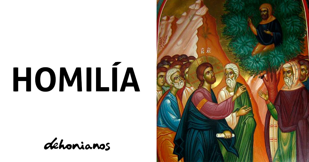homilia dehonianos