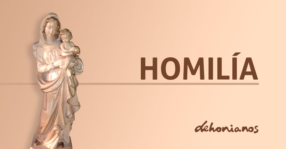Homilía con dehonianos