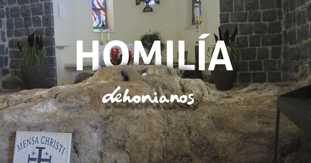 Homilía dehonianos