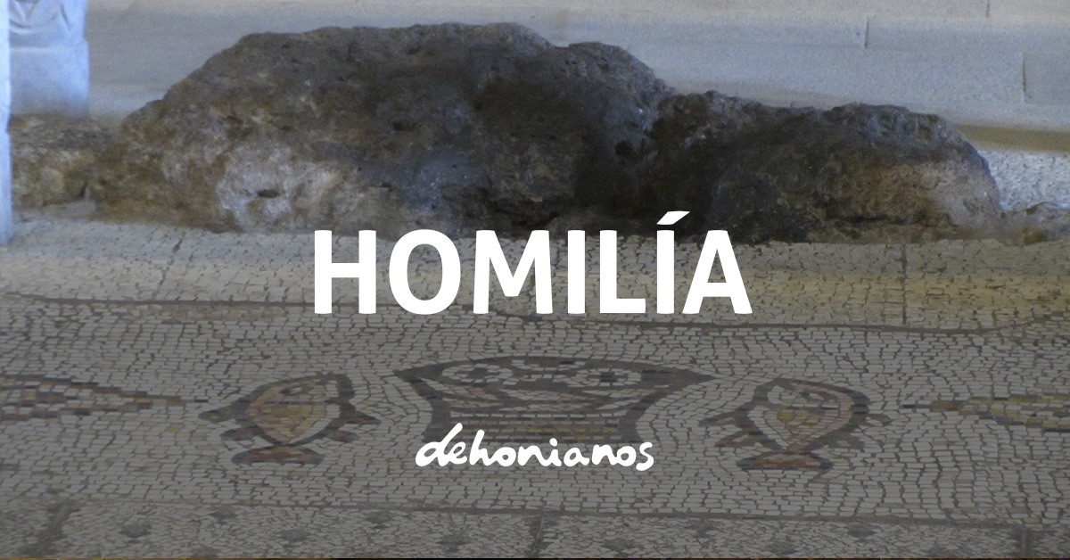 homilía