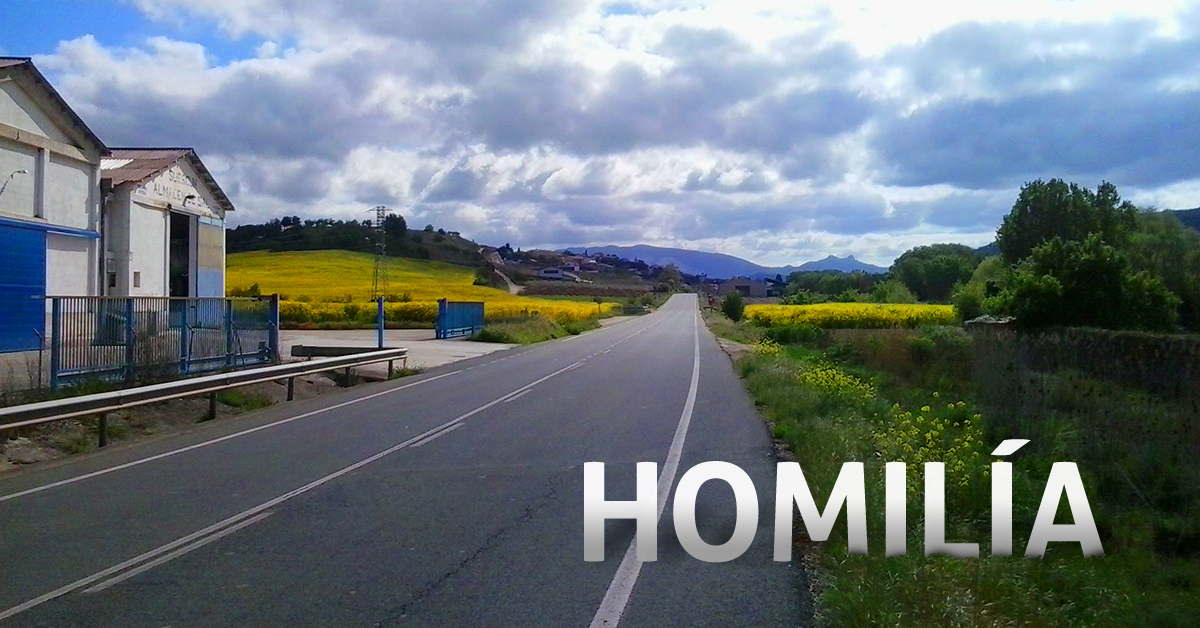 homilia